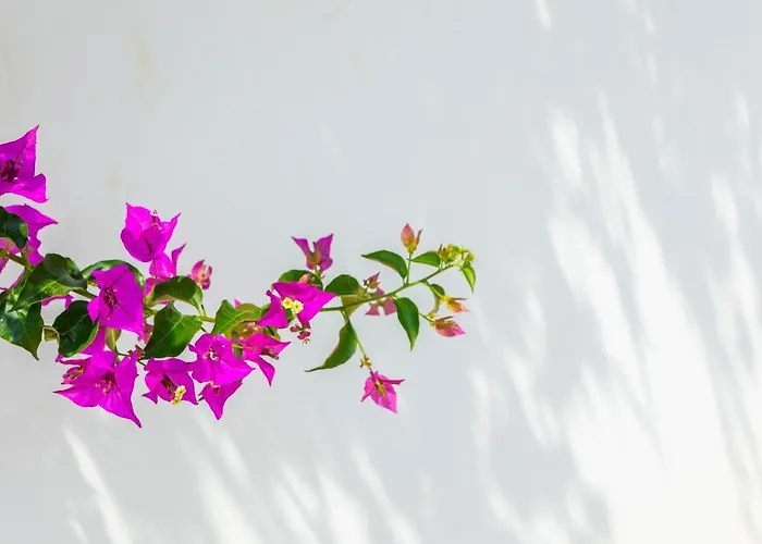 Villa Napa Bay View 8 Ayia Napa