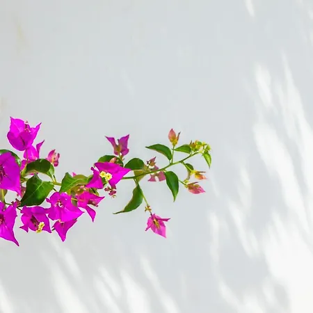 Villa Napa Bay View 8 Ayia Napa